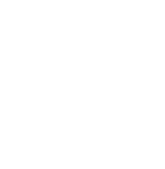 Logo blanc Face au Bowl Crozon