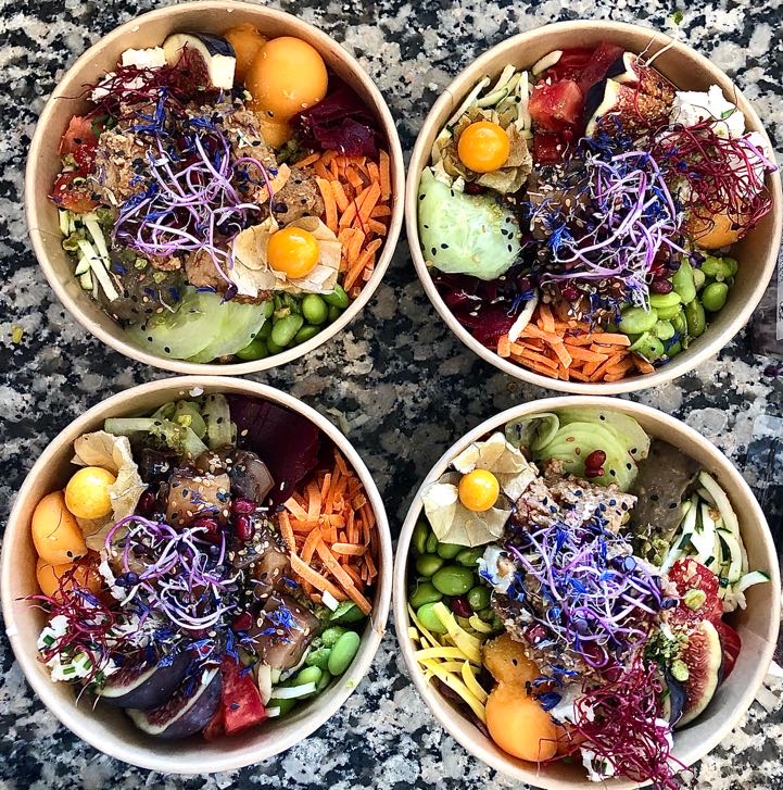 Learning to surf is easy with the traveling surf school in Crozon.