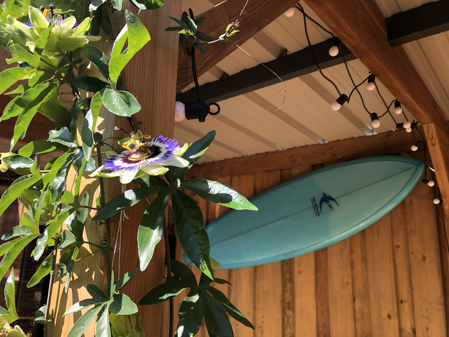 Camille la cheffe gérante de Face au Bowl Crozon Finistere